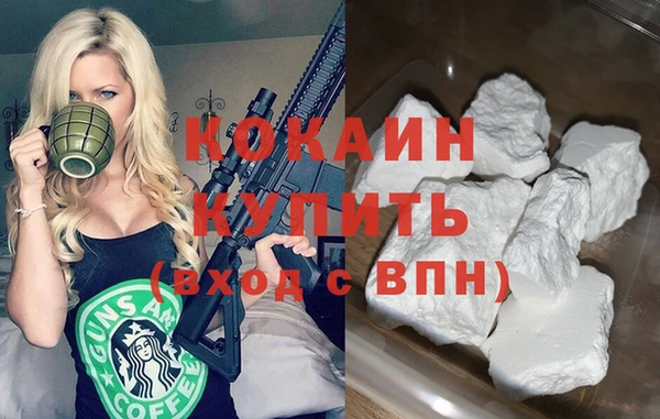 гашик Пестово