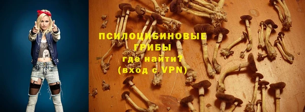Альфа ПВП Балабаново
