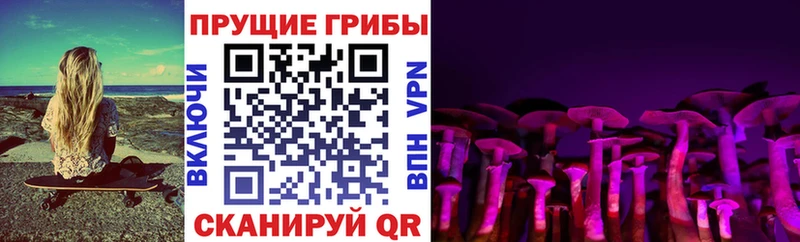 MEGA маркетплейс  Сковородино  Псилоцибиновые грибы прущие грибы  купить  